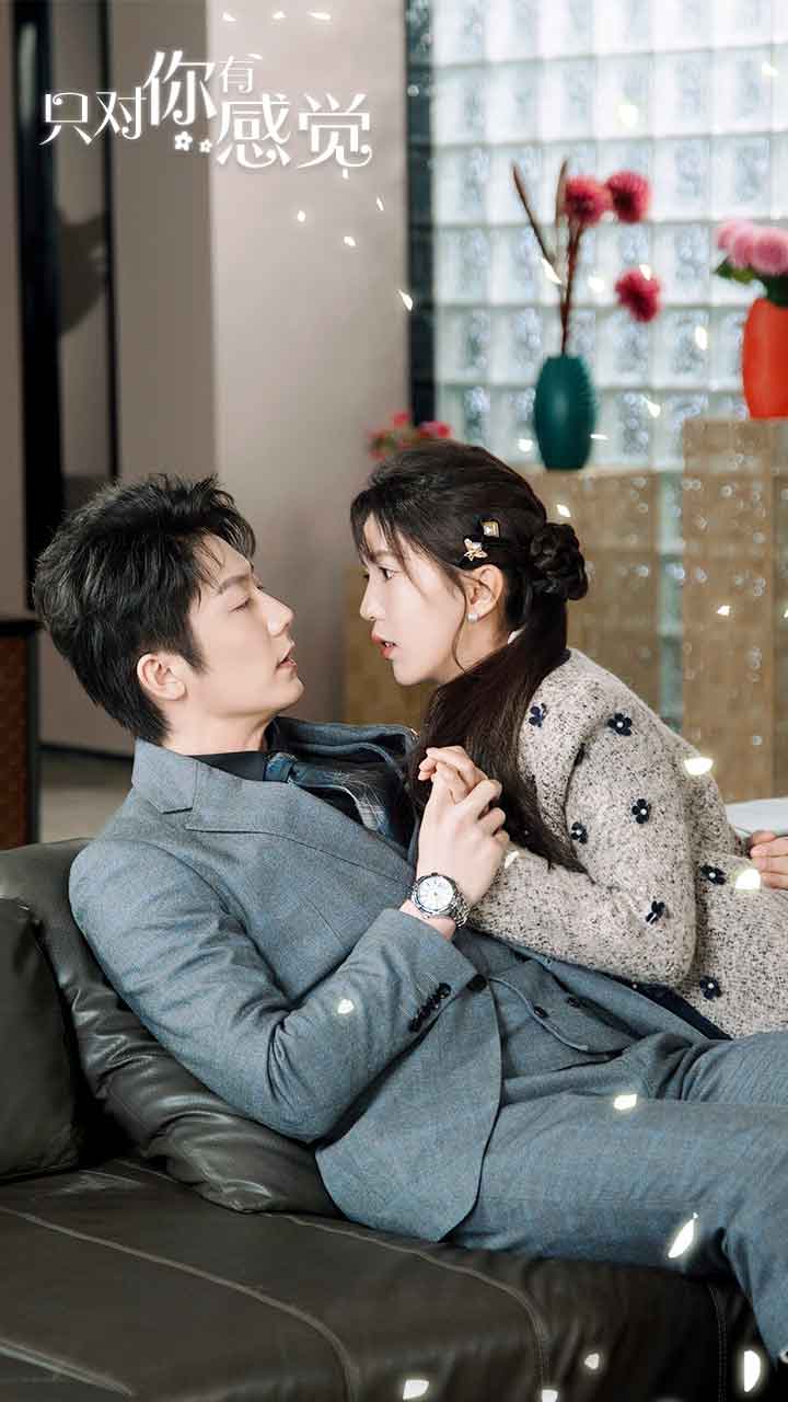 只对你有感觉 全集(大结局)