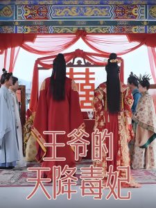 王爷的天降毒妃 全集(大结局)