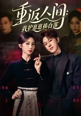 重返人间：我护崽崽揍白莲(全集)