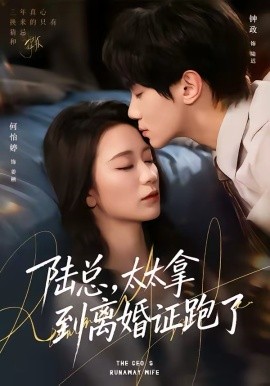 陆总，太太拿到离婚证跑了(全集)