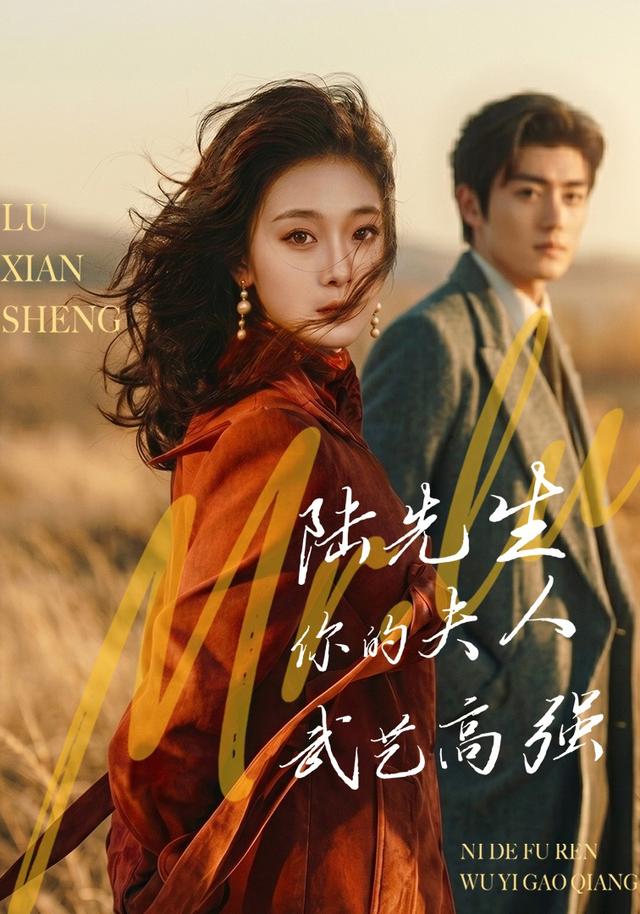 陆先生，你的夫人武艺高强(全集)